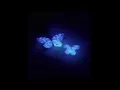 Illenium & Said The Sky -Where'd U Go x Fragments Edit