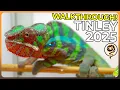 The Complete 2025 NARBC Tinley Park Show Walkthrough