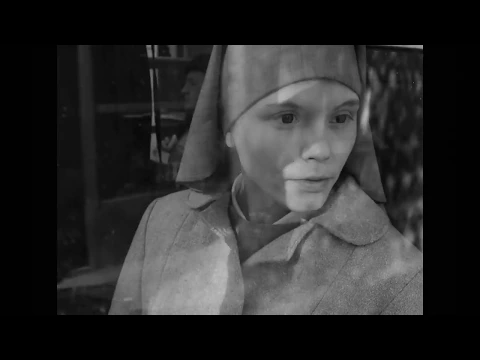 Official Trailer [Subtitled]