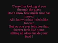 Stone Sour - Through Glass { Lyrics.