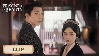 وي شاو يحمل شياو تشياو أنت ملكتي الفريدة سجين الجمال الحلقة 06 