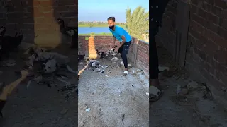 لما تمسك حرامي بط عندك في اليت عاصم هنيدي حرامي 