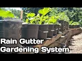 Rain Gutter Garden System-Full Guide With Tips and Hacks