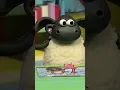 Where is the missing piece Timmy Time
