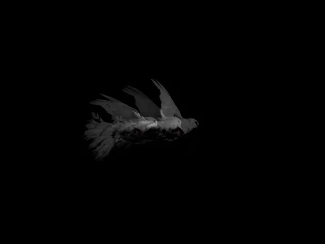 background images