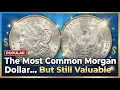 The Most Common Morgan But Still Valuable 1921 Dollar Full Guide