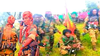 ajajaa wbo jaal hambisaa seenaa waraana zoonii bahaa cibraa elemoo qilxuutuu haasawaa
