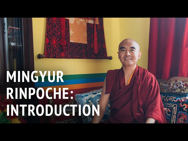 Introduction | Mingyur Rinpoche