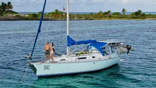 Paradise Living! [Day #19]