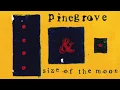 Pinegrove - Size of the Moon