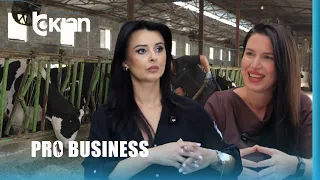 Pro Business - Nisin pagesat për fermerët e skemës kombëtare 2026