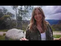 A Designer Cabin in the Snowy Mountains! Minimalist Design w Luxury Interiors (House Tour)