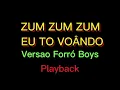 Download Lagu ZUM ZUM ZUM EU TO VOÂNDO - VERSAO FORRÓ BOYS (PLAYBACK)