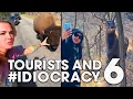 Download Lagu Tourists and #IDIOCRACY 6