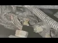 KW Peterbilt common issues on transmission harness