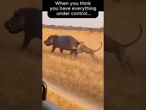 When you think you have everything under control