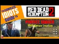 100 Spawn PERFECT BADGER PELT - Idiots Guide to RDR2