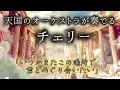 【天国のオーケストラ】チェリー(スピッツ)~虹の橋を渡っていった君へ捧ぐ~