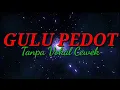 Download Lagu GULU PEDOT TANPA VOKAL CEWEK || NYANYI DUET BARENG ARDHY PRADANA