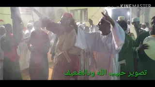 أزور ضريحك وروضتاك دندنها