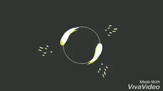 تيك توك زين او لاطاي 