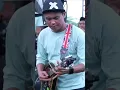 Download Lagu Mandolin dangdut raja skill #shorts #mandolin #dangdut #skgroup