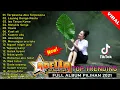 Download Lagu Terpesona Aku Terpesona, Seharusnya Aku, Layang Dungo Restu - HAPPY ASMARA Full Album Pilihan 2021
