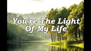 Download The Light of My Life (Lyrics) MP3