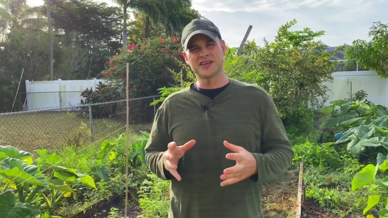 Our Winter Organic Food Garden -  Florida Gardening - healthy recipe channel