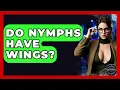 Do Nymphs Have Wings - Inside the Supernatural