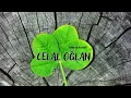 Download Lagu Emrah Samet - Celal Oğlan (İpek Mendil Dane Dane)