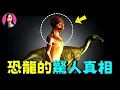 Download Lagu 恐龍根本不是我們想像中的那樣？！恐龍的真實樣貌，驚掉你的下巴，99%的人都理解錯了 [驚掉下巴 | 小烏]