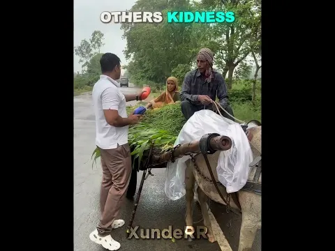 Others Kindness vs Hero Dog🐶❤️‍🩹
