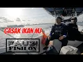Download Lagu Singapore Boat Fishing | gasak mangrove jack