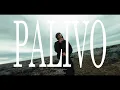 Download Lagu Prucca - PALIVO (Official Music Video Video)