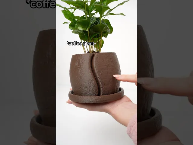 COFESIA – Coffee Bean Planter I Planter for Coffee Layers video thumbnail