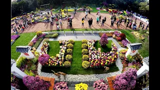 В городе-побратиме Омска Кайфыне проходит фестиваль хризантем