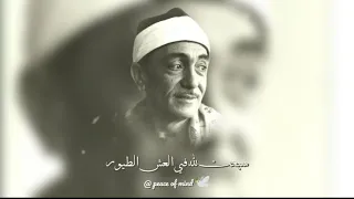 سبحت لله في العش الطيور الشيخ نصر الدين طوبار 