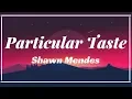 Shawn Mendes - Particular Taste