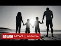 Download Lagu Kasus bunuh diri di Penjaringan, Jakarta Utara: 'Kematian putus asa' satu keluarga - BBC Indonesia