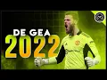 Download Lagu David de Gea ● Savior Of Manchester ● Miraculous saves \u0026 Passes Show - 2021/22 (FHD)