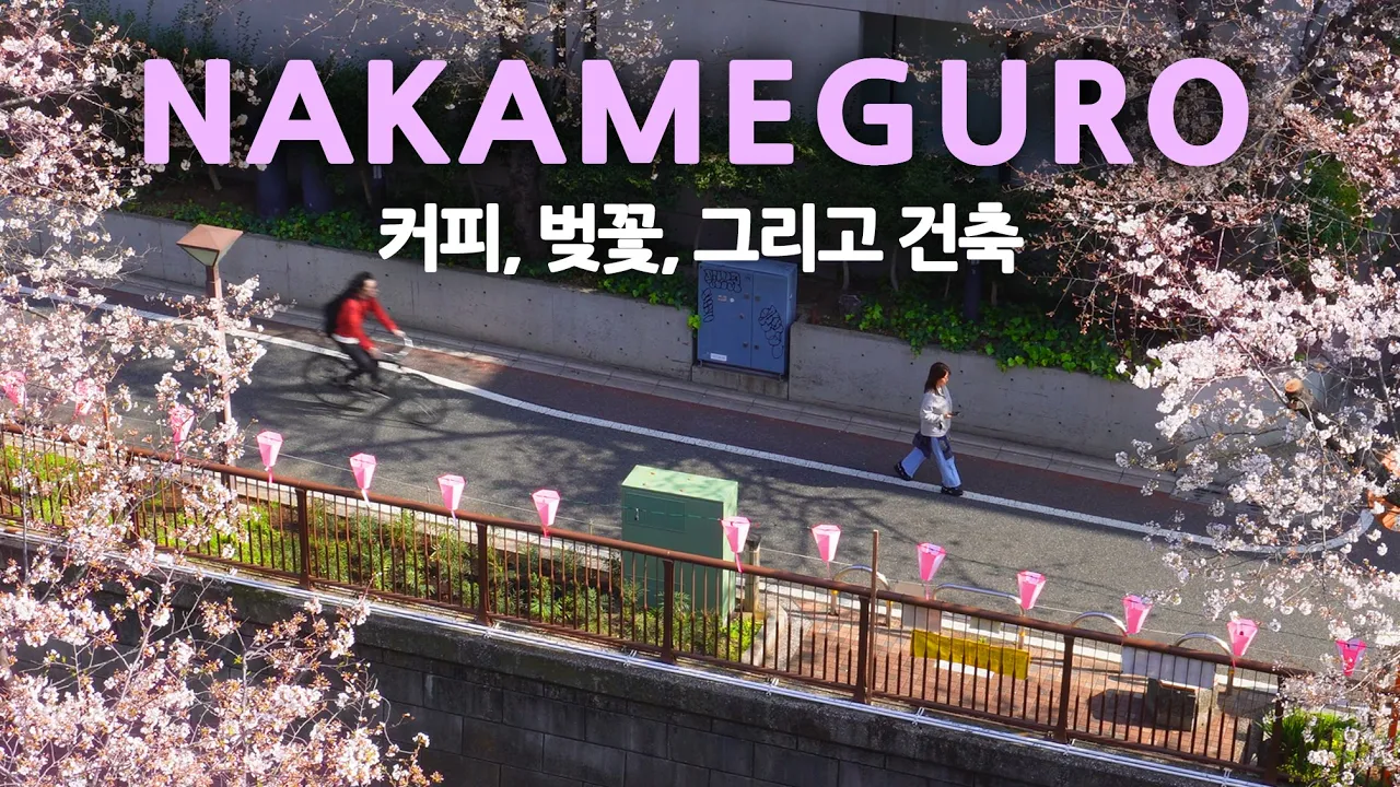 나카메구로 카페 투어와 현대 건축