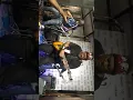 Download Lagu LELA-anak muda LIVE@ waronk Melaka 23/07/2022