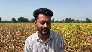 NRC 268 vs 292 दो अलग सोयबीन की किस्म कौनसी बड़िया | soybean ki kheti| nrc 268 vs nrc 292