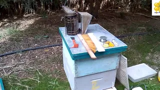 الدرس الاول شروط انشاء منحل تربية النحل للمبتدئين 