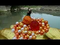 Download Lagu 😱😱Open the glittering giant clam, which is nurturing golden pearls. It is absolutely beautiful.