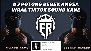 Download DJ POTONG BEBEK ANGSA VIRAL TIKTOK SOUND KANE (Elthon Rihy)🌴🎶 MP3