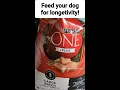 The Best Dog Food For Large Breeds Purina One Plus Adult Dog Food Formula