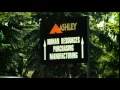 Ashley Furniture in Arcadia faces 1 76M OSHA fine