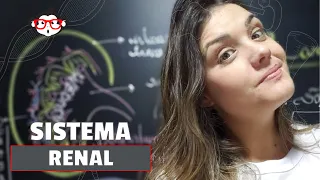 Anatomia Humana - Sistema Renal 🐵📚